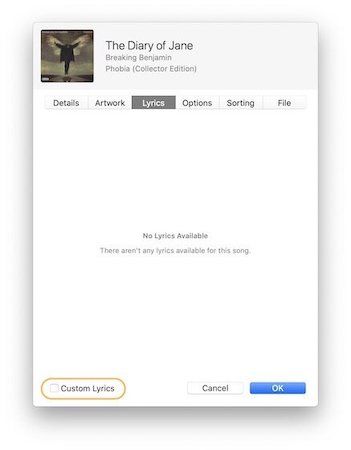 Add Custom Lyrics to Songs in Apple Music 3