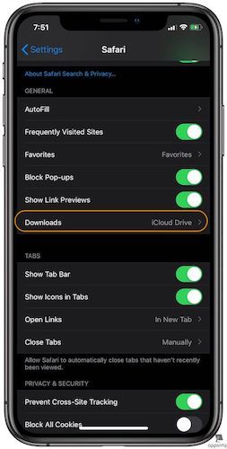 Manage Safari Downloads in iPadOS and iOS 13 - 2
