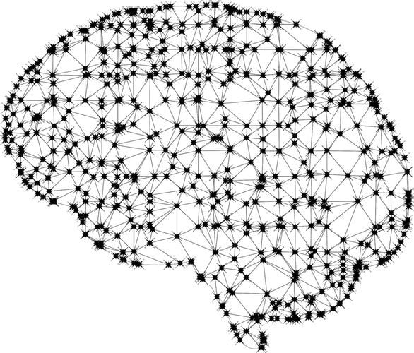 Image of brain showing interconnected latice