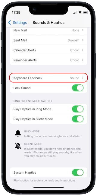 iPhone settings page showing keyboard Feedback