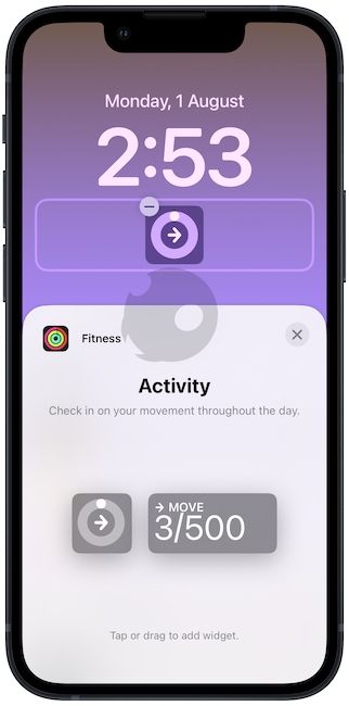 9. Fitness widget