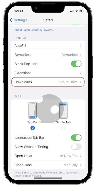 ios safari local storage limit