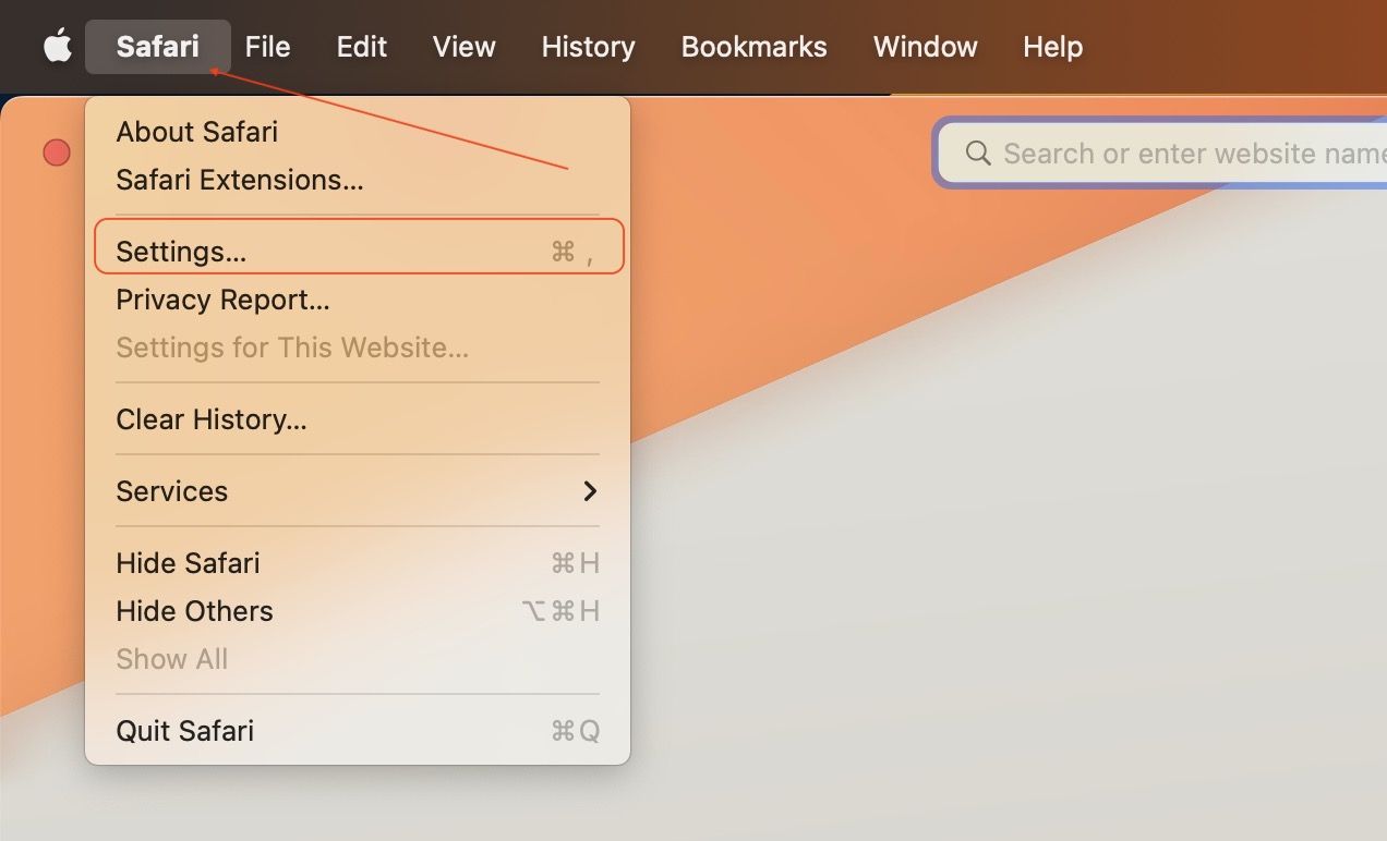 Change the default search engine in Safari on Mac 2