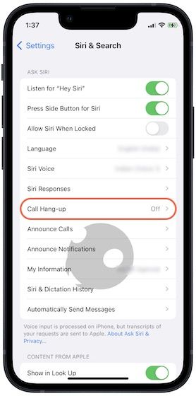 Use Siri to Hang up calls on iPhone 3