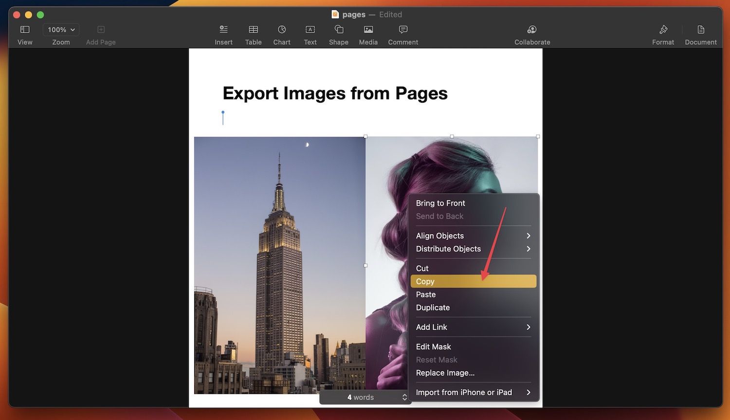Export a single image from Pages on Mac 1