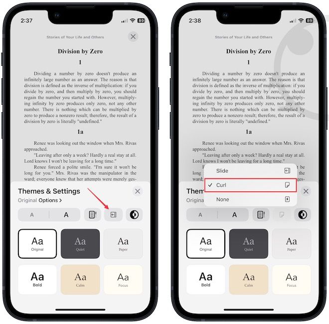screenshot showing Apple Books Page Turning animation option