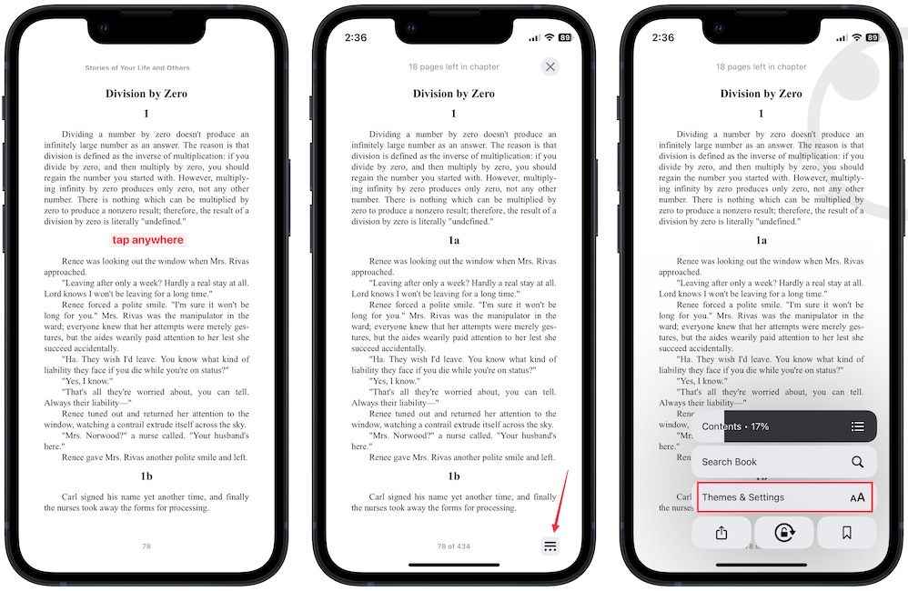 screenshot showing Apple Books reading menu