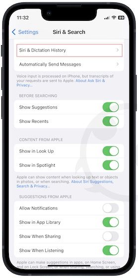 iPhone Settings screenshot showing Siri & Dictation History option