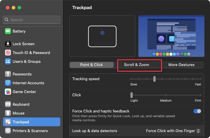 Choosing the Scroll & Zoom tab