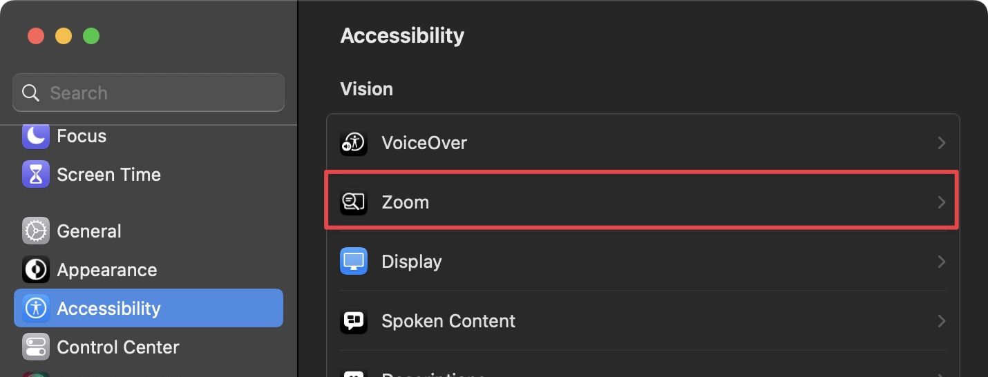 zoom option in accessibility settings