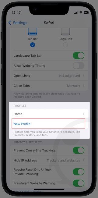 Safari profiles settings on iPhone