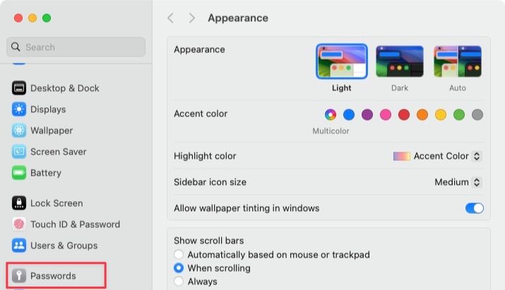 System Settings app screenshot showing Passwords option