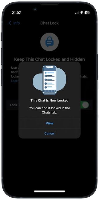 WhatsApp chat lock confirmation page screenshot