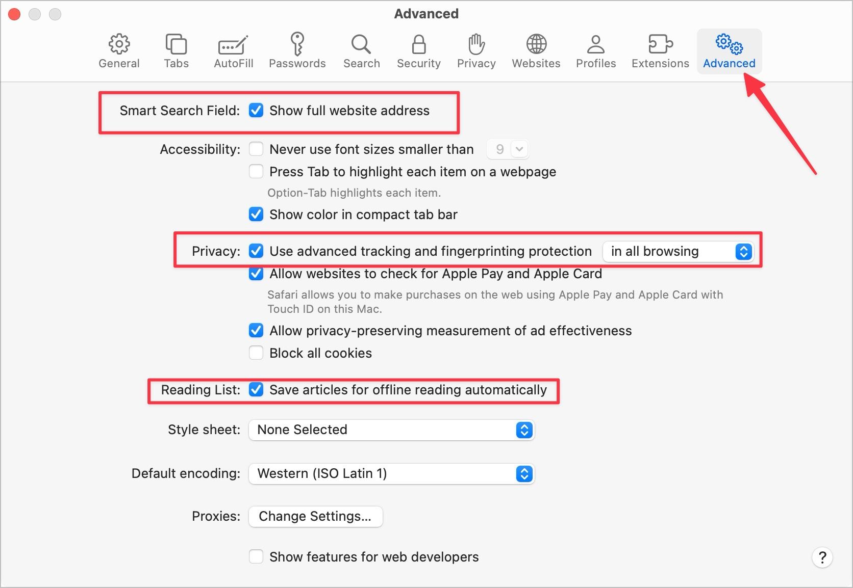 Safari Advanced settings screenshot