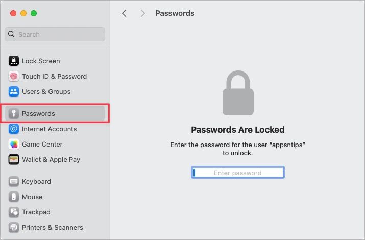 Opening Passwords settings on mac