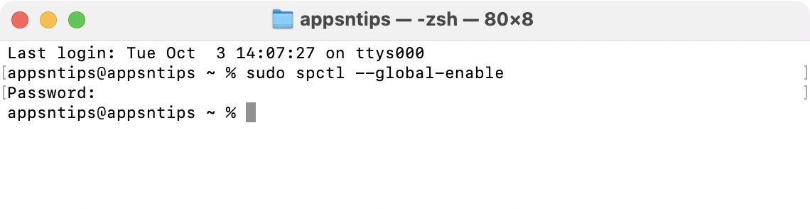 Terminal runngin sudo spctl --global-enable command