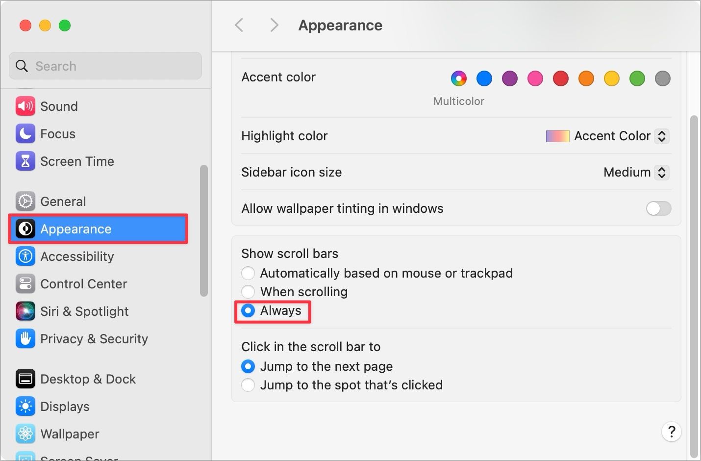 appearance settings page screenshot in macOS
