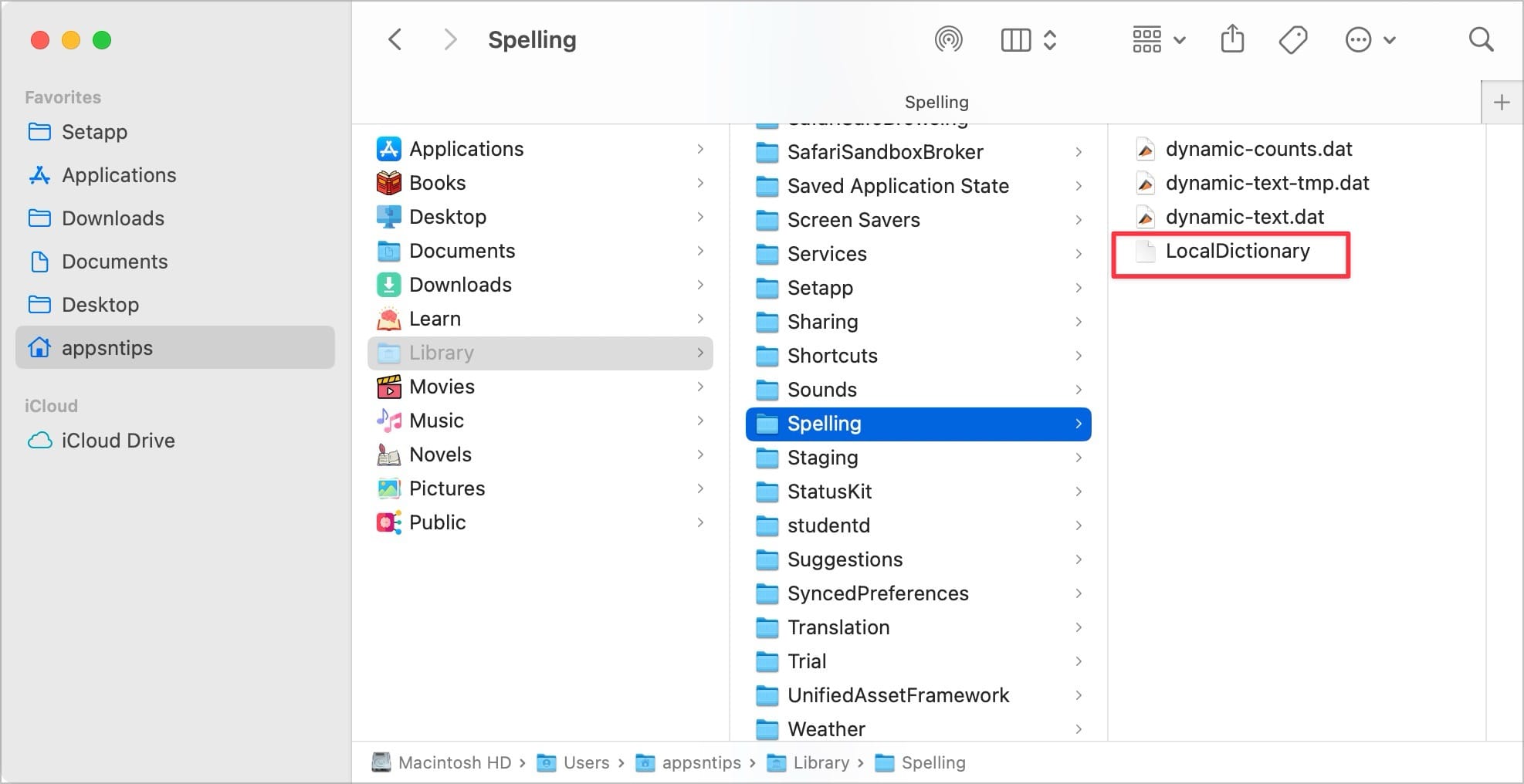 LocalDictionary file in Spelling folder