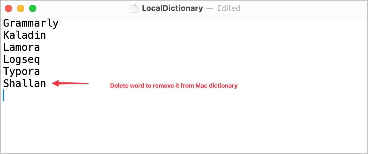 LocalDictionary file open showing remove word