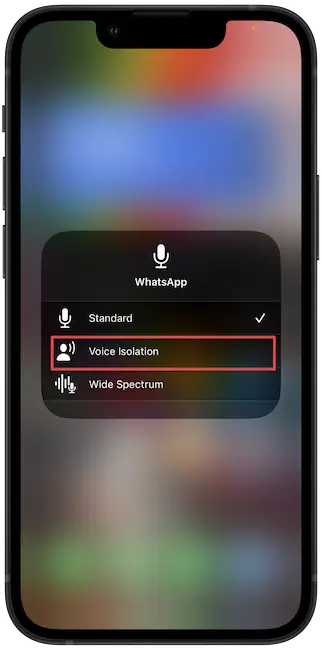 Voice Isolation feature