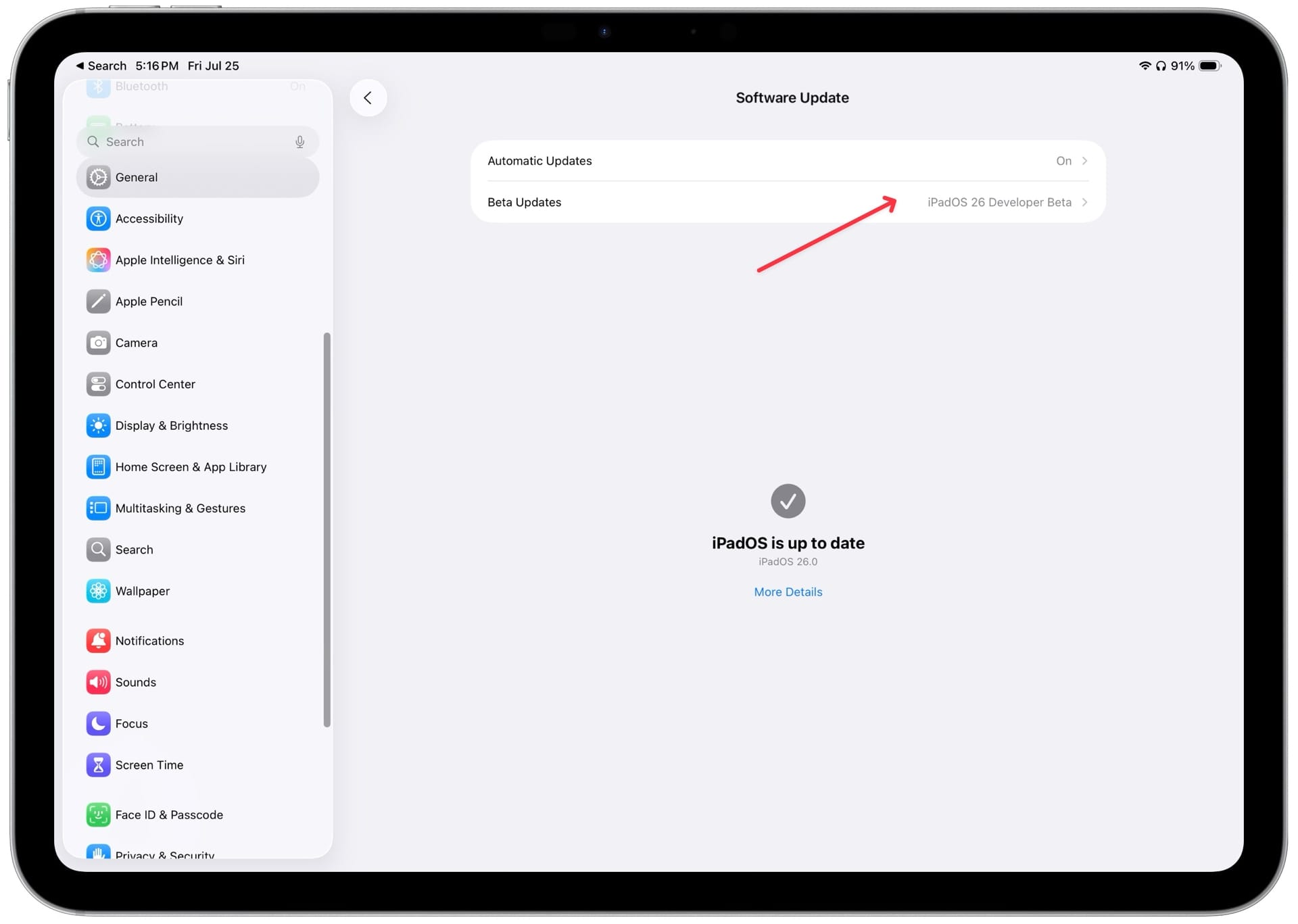 ipad screenshot showing Beta Updates settings