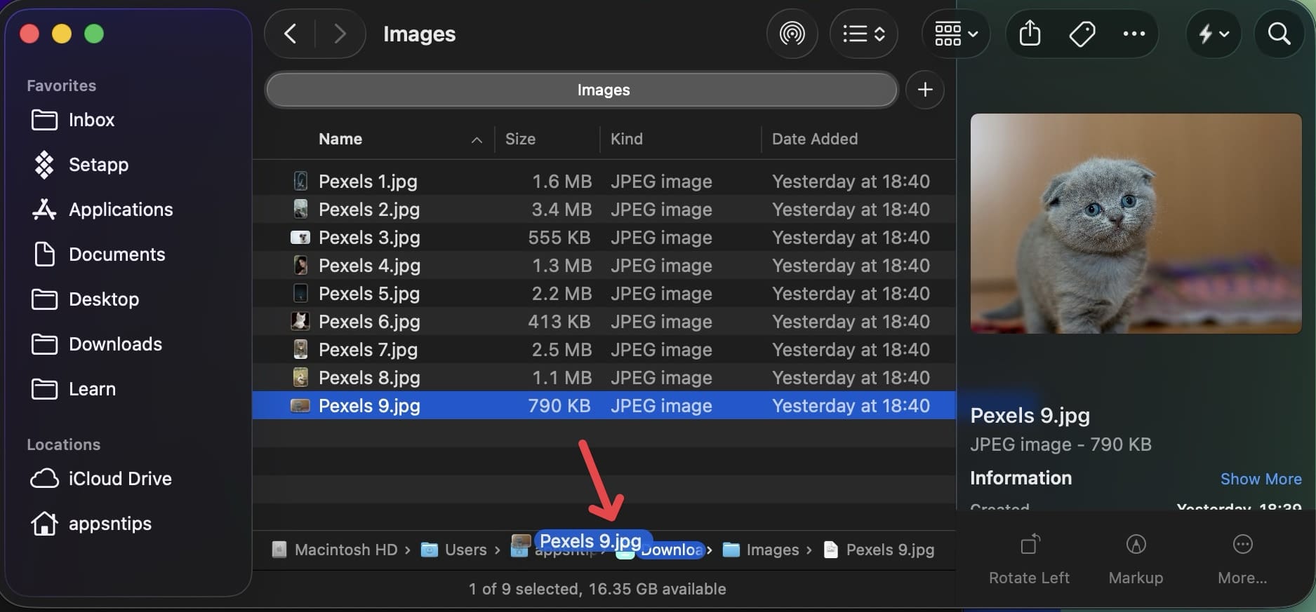 moving files using path bar