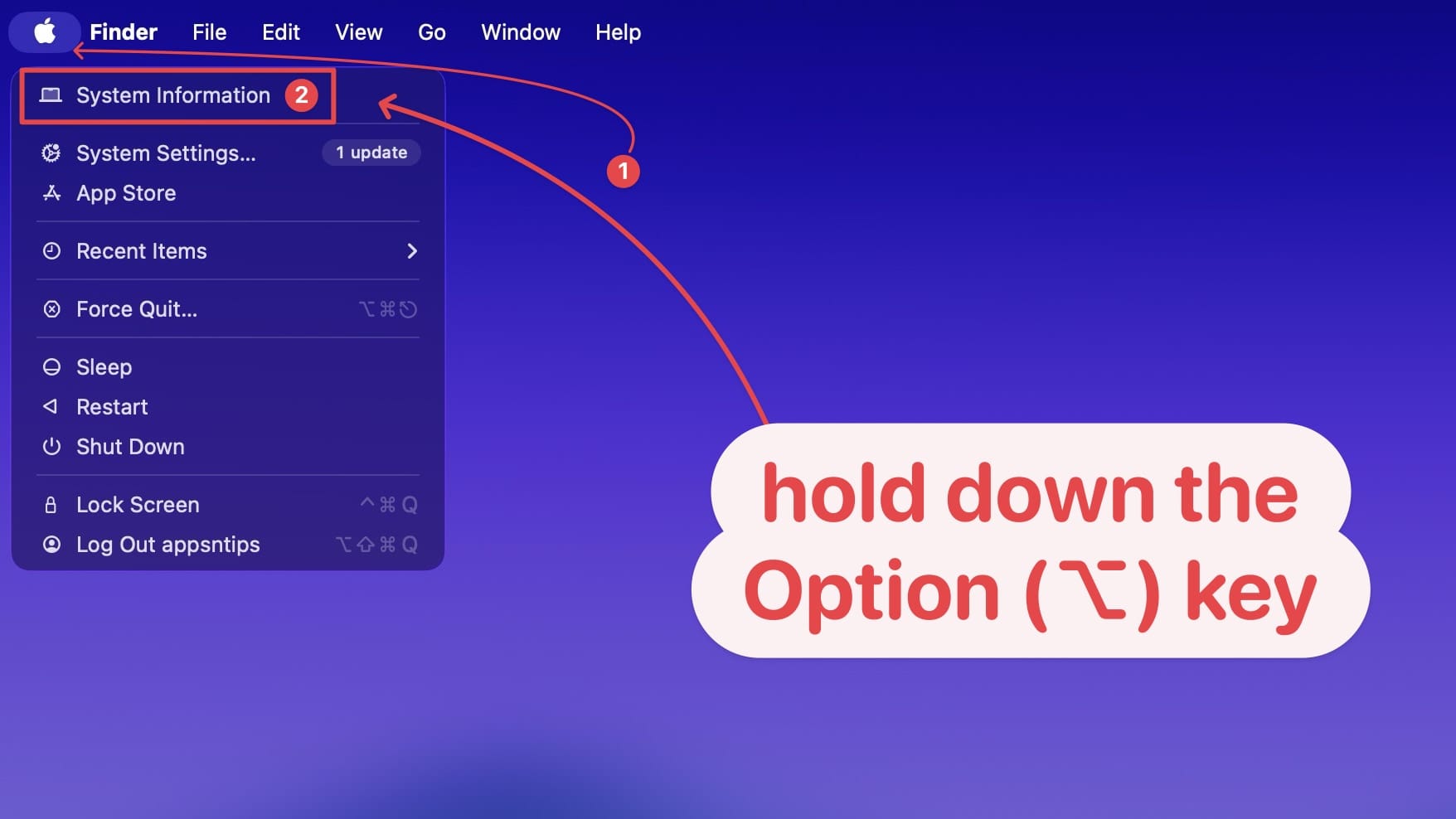 opening system information