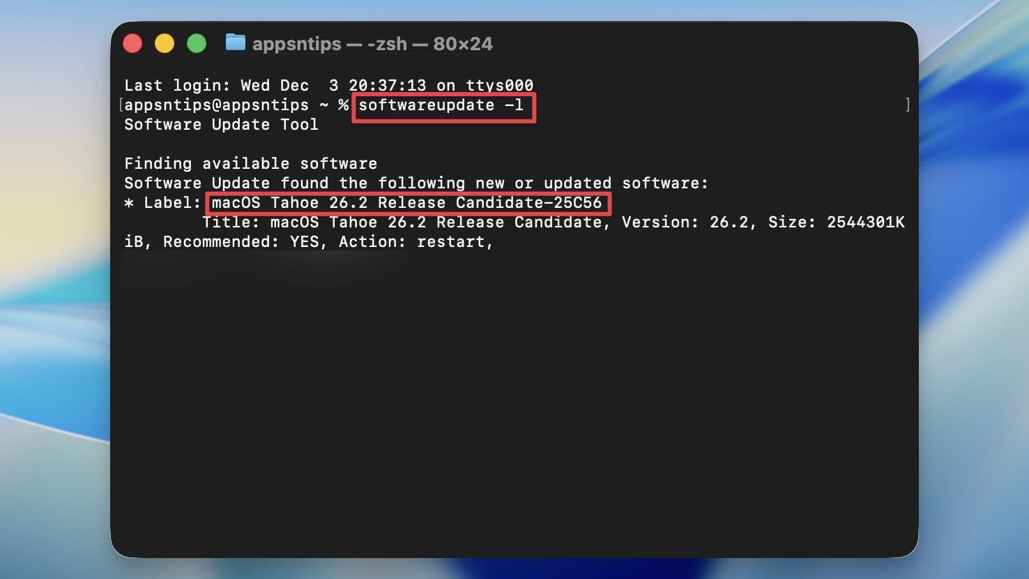 running software update command in terminal