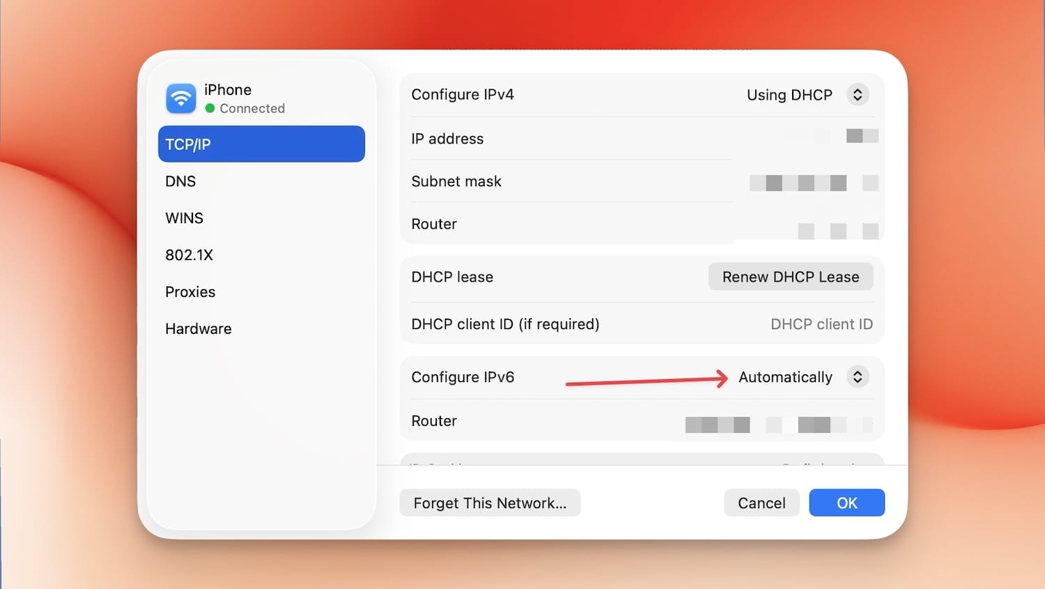 system setting screenshot showing TCP/IP settings