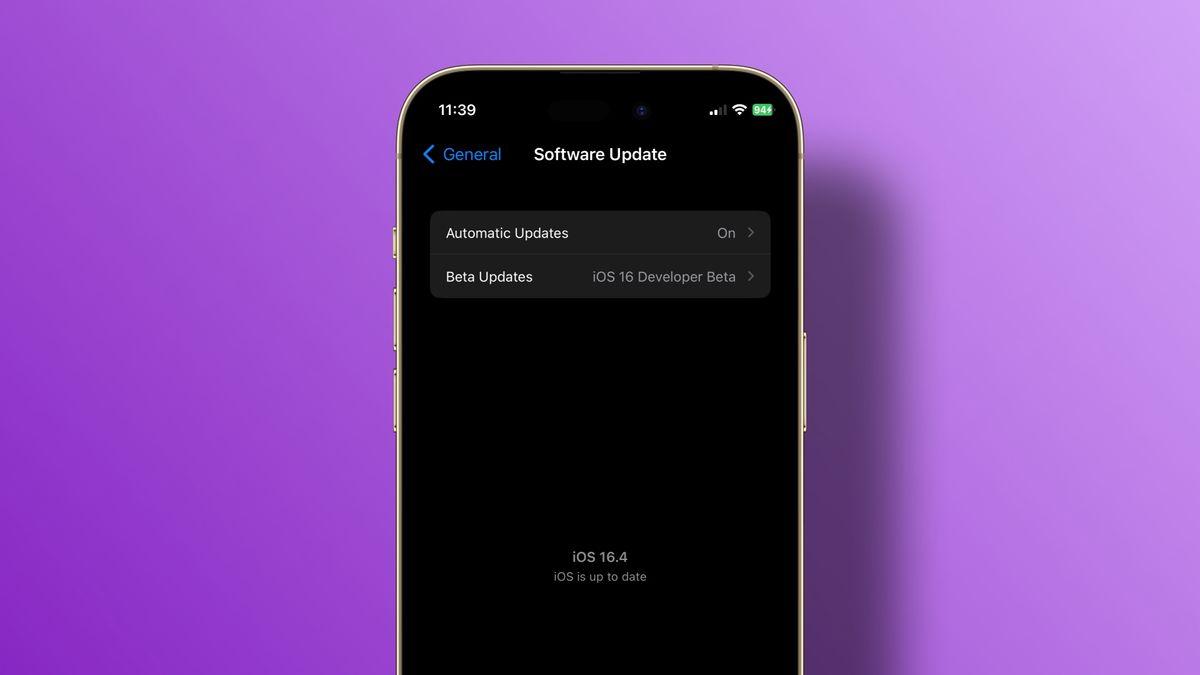 How to Turn on iOS Beta Updates with iOS 16.4 or Later