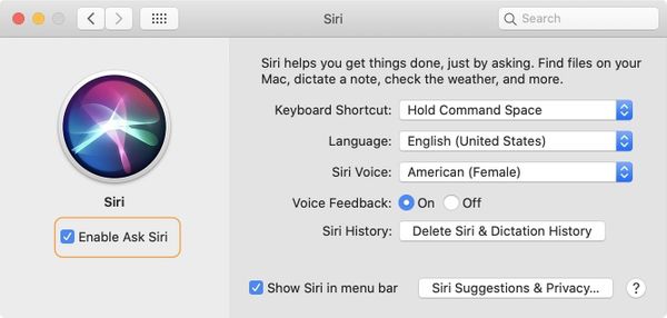 How to Turn Off Siri on iPhone, iPad, and Mac | appsntips