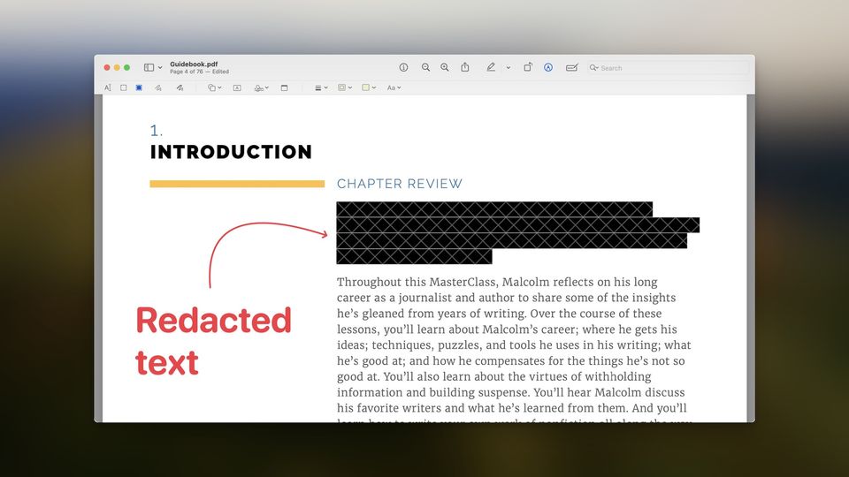 PDF with redacted text